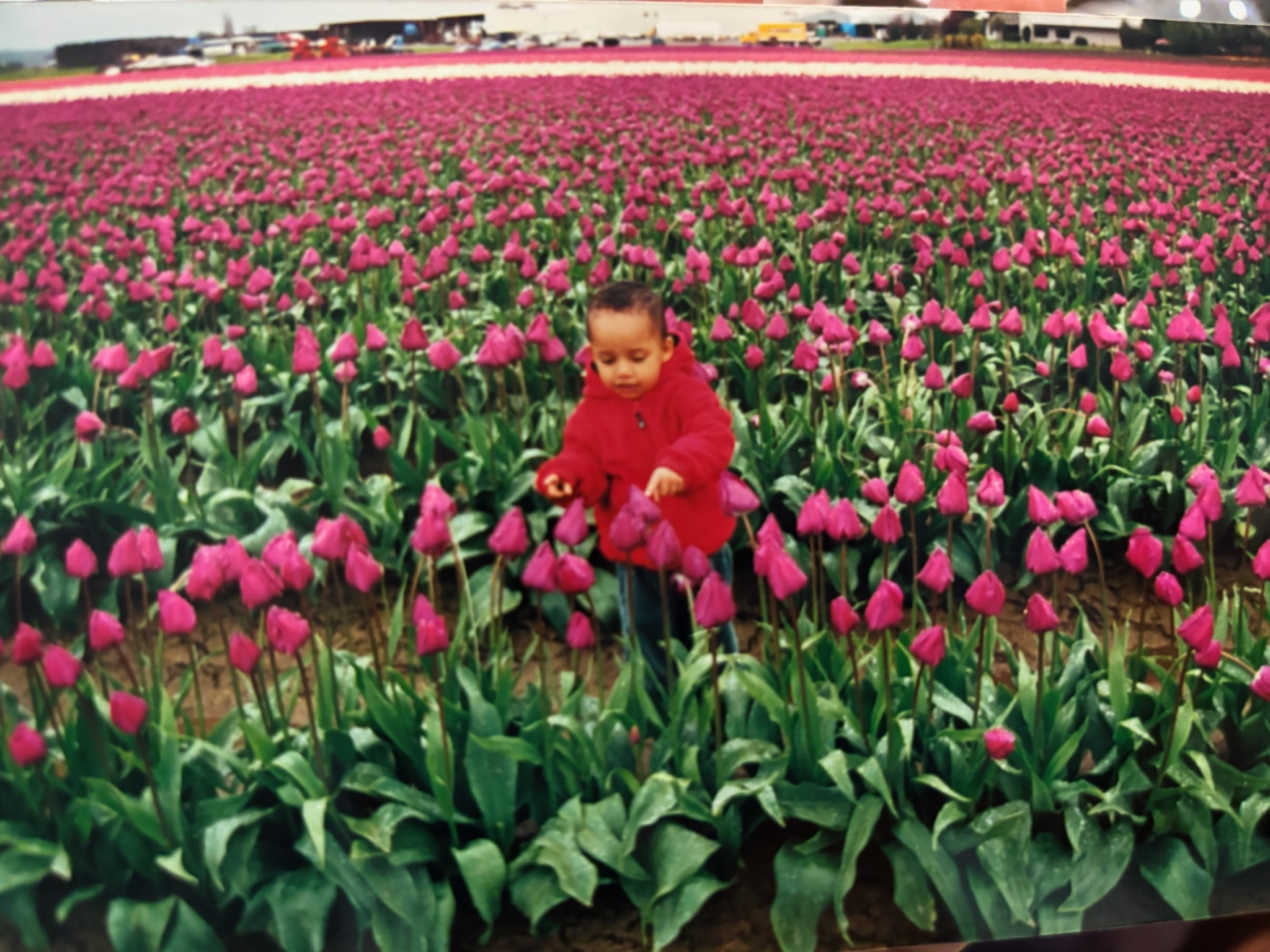 Sasu in tulip fields as a child